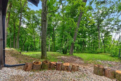 20542 Mayapple Lane, Preston, MN 55965