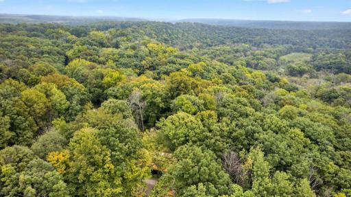 20542 Mayapple Lane, Preston, MN 55965