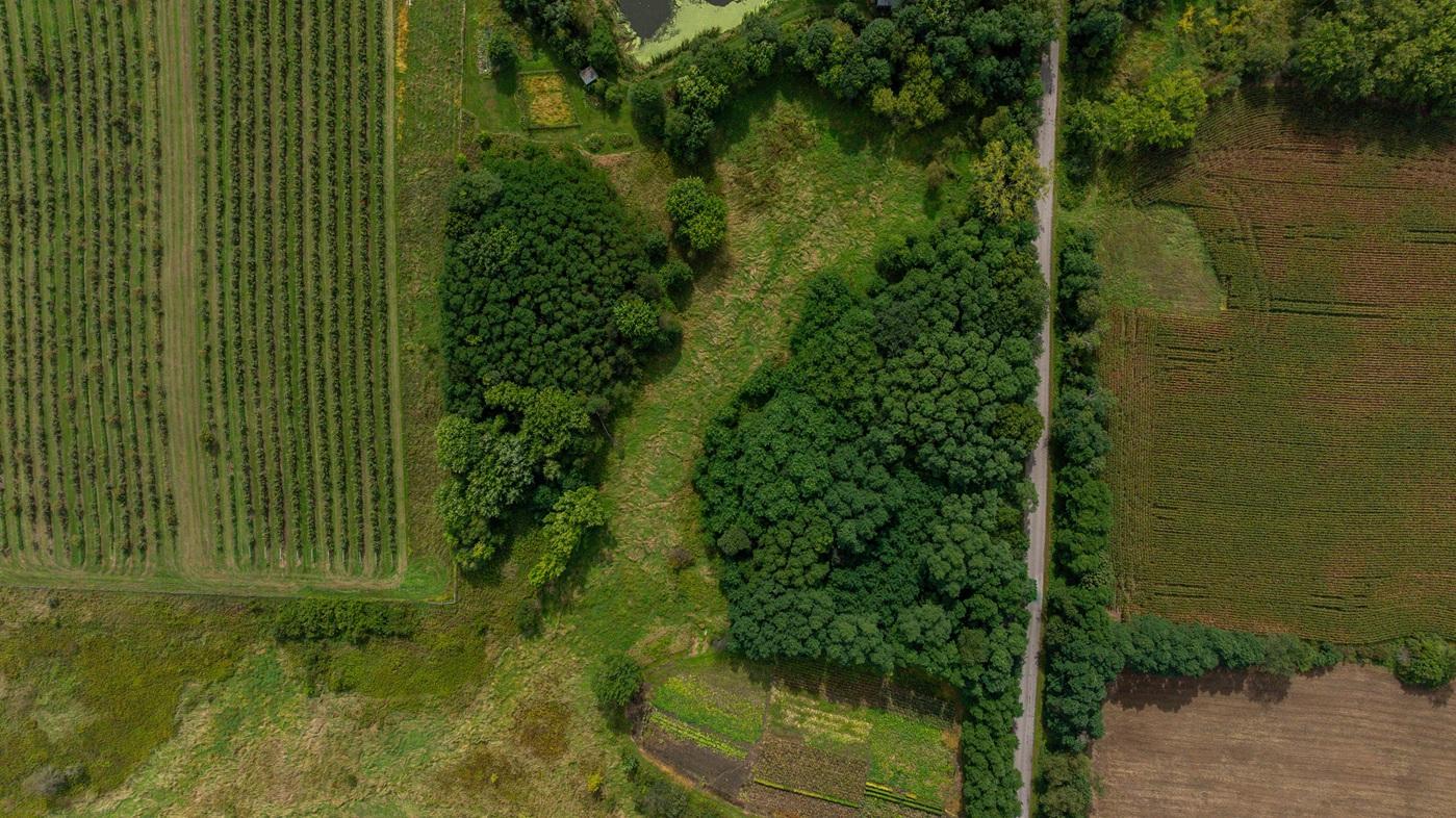 DJI_20260915124112_0177_D.jpg