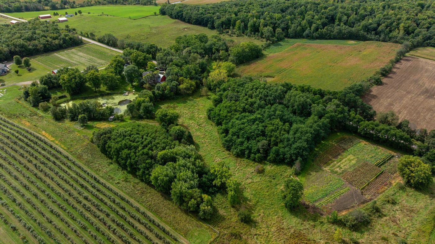 DJI_20260915123946_0172_D.jpg