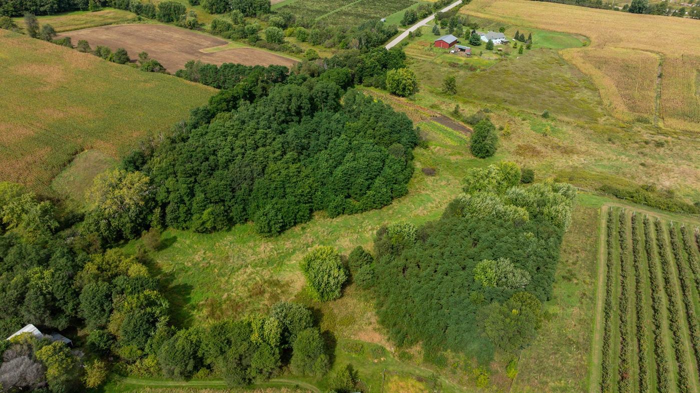 DJI_20260915123856_0169_D.jpg