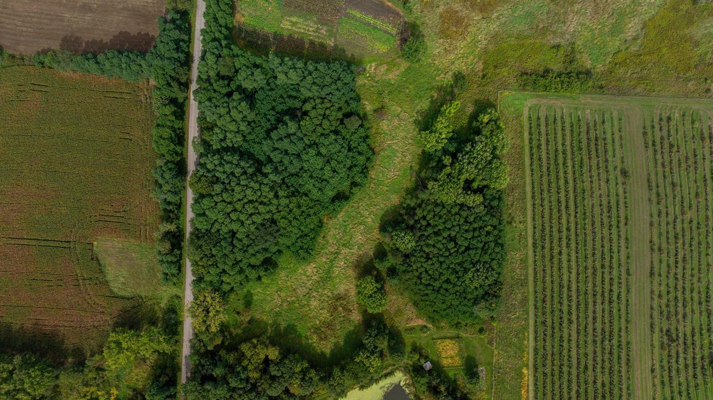 DJI_20260915124147_0180_D.jpg