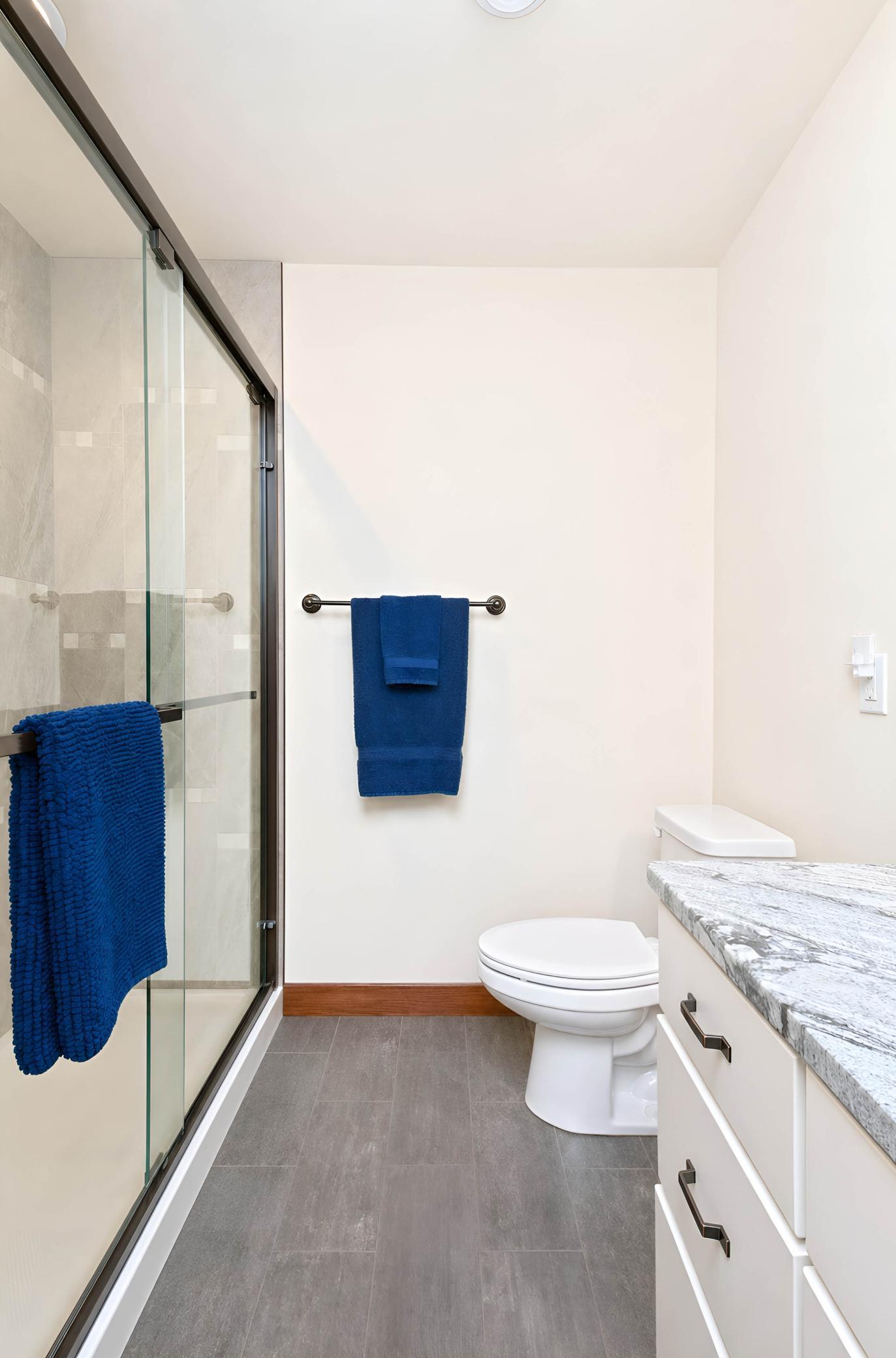 Lower level bathroom