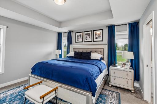 Primary bedroom with tray ceiling