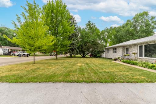 Wide, open front yard with mature shade trees and plenty of green space