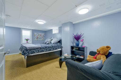 Lower level bedroom with carpet, window, and room for a sitting area