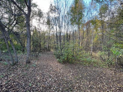 38953 Ada Beach Road S, Waubun, MN 56589