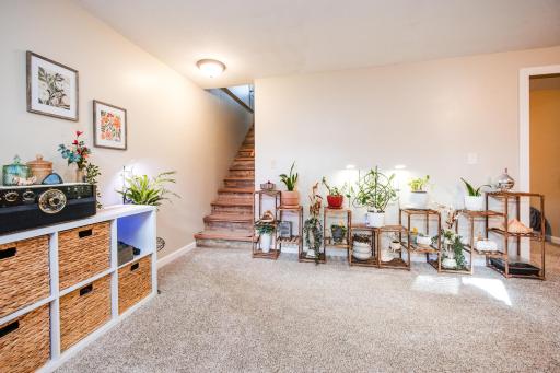 LL Family Room
