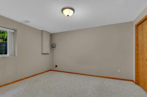 2nd Lower Level Bedroom