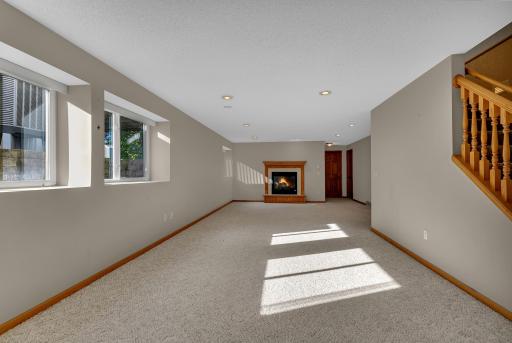 Basement Family Room