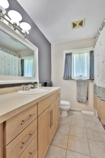 Lower level bath room.