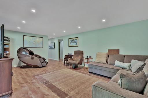 Lower level family room