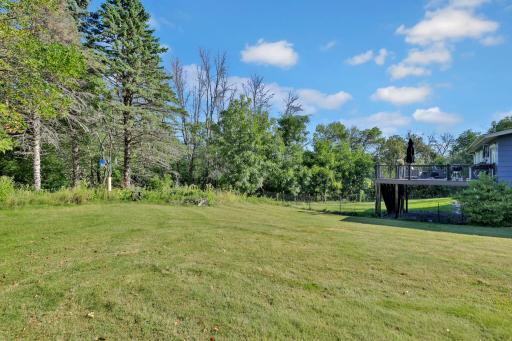 Open back yard.