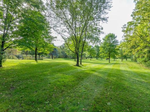 14895 Raspberry Drive, Rogers, MN 55374