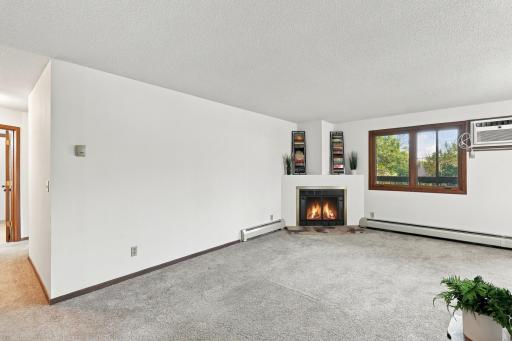 Living Room Fireplace