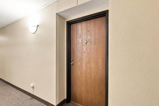 Entry Unit Door