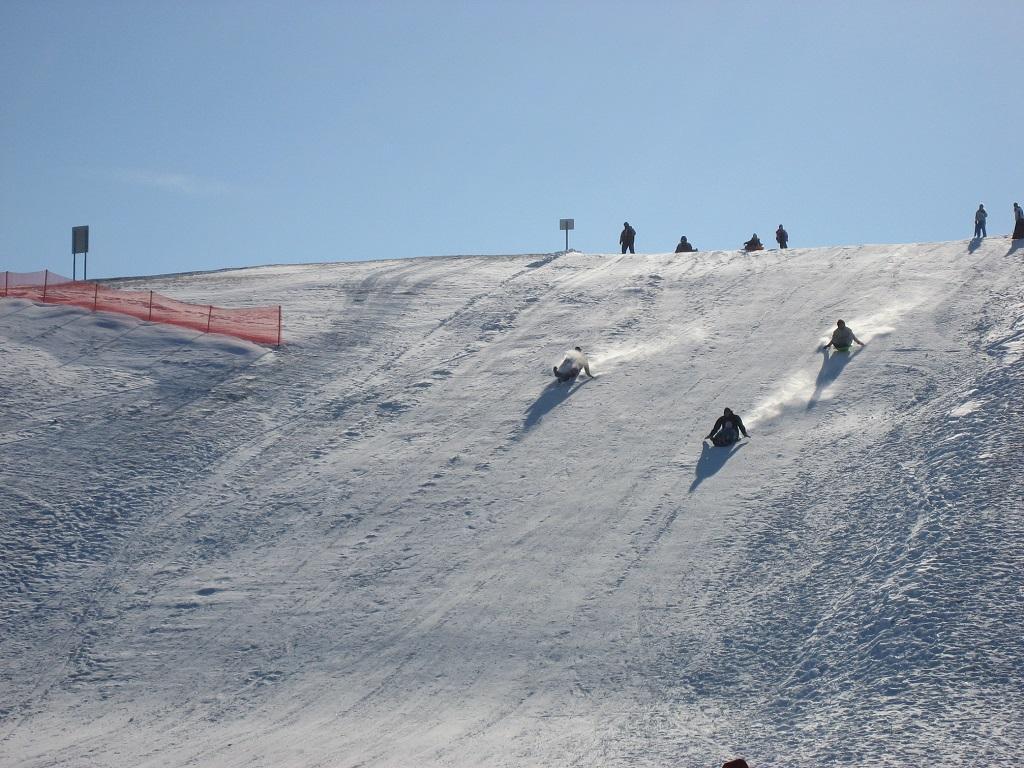 A favorite winter tradition at Paradise Commons, the sledding hill offers a fun way to enjoy the outdoors when snow arrives.