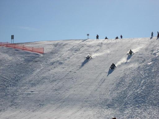 A favorite winter tradition at Paradise Commons, the sledding hill offers a fun way to enjoy the outdoors when snow arrives.