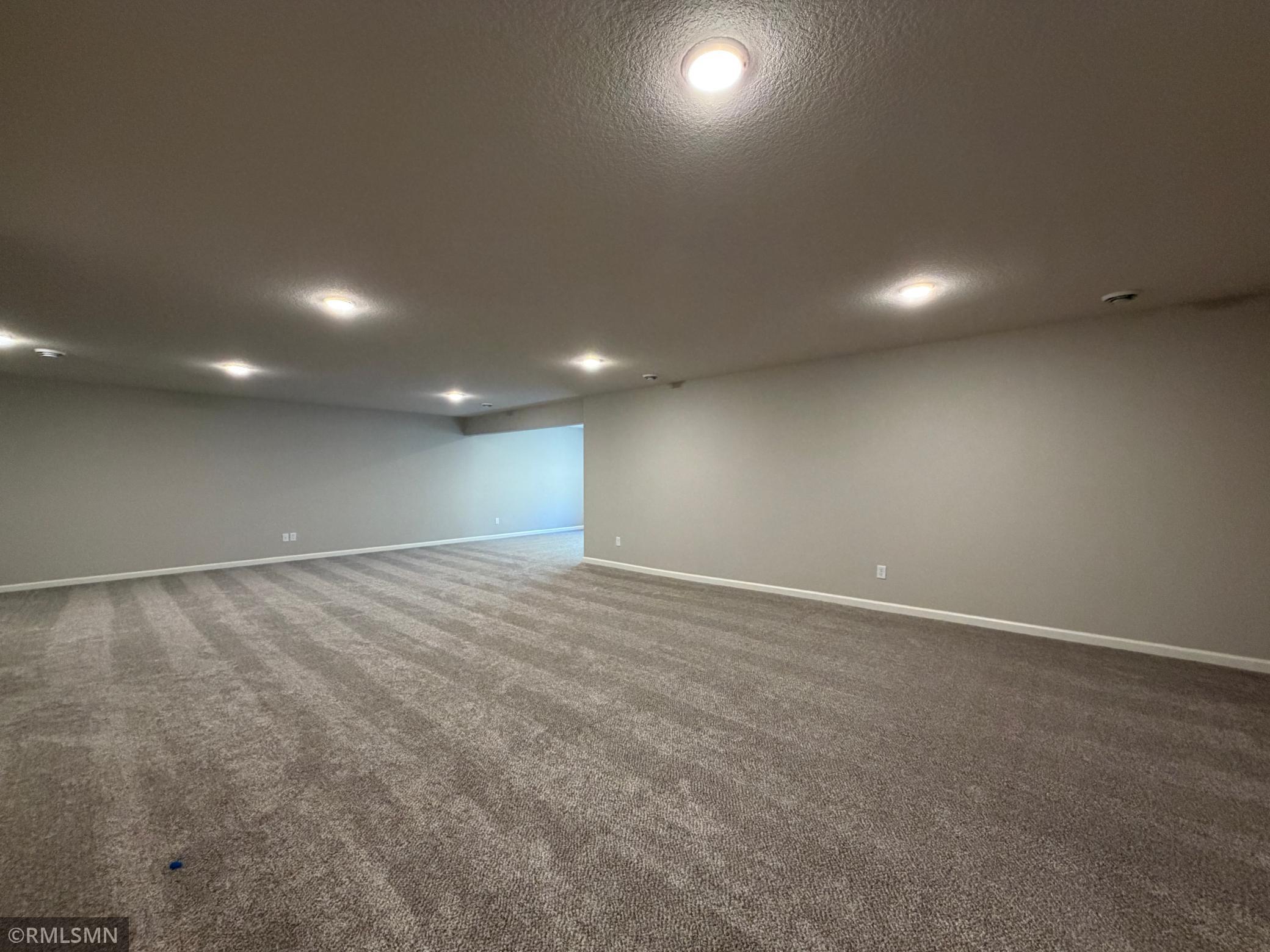 Family Room - Basement