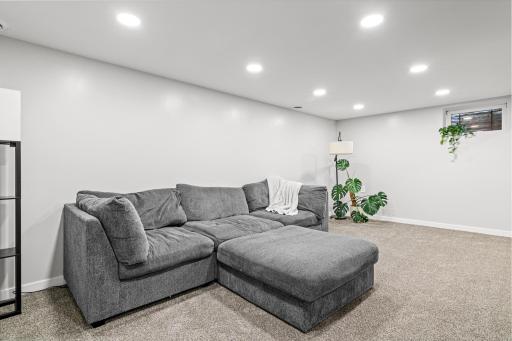 Lower level family room