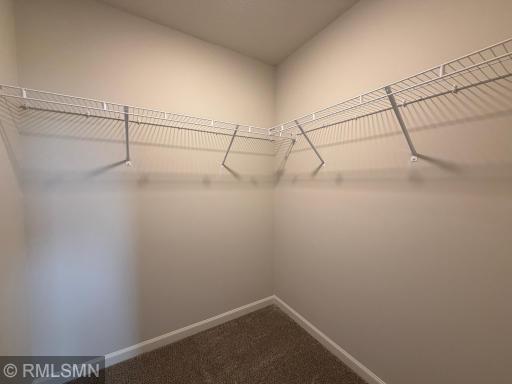 6250 Rachele Avenue NE, Otsego, MN 55330