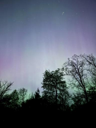 On the right night, the view gets even better. Northern Lights captured right from the property.