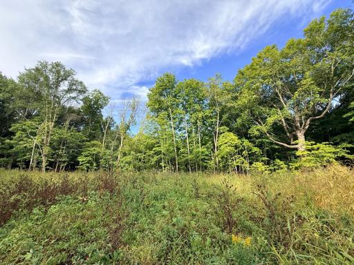 0 Harlee Court LOT 3, Waconia, MN 55387