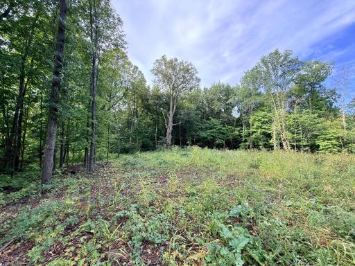 0 Harlee Court LOT 3, Waconia, MN 55387