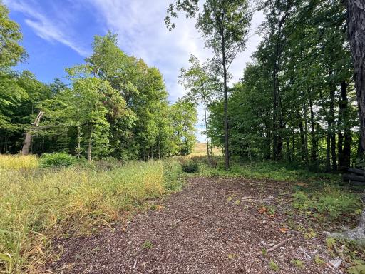 0 Harlee Court LOT 3, Waconia, MN 55387