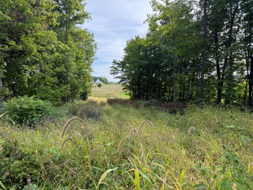 0 Harlee Court LOT 3, Waconia, MN 55387