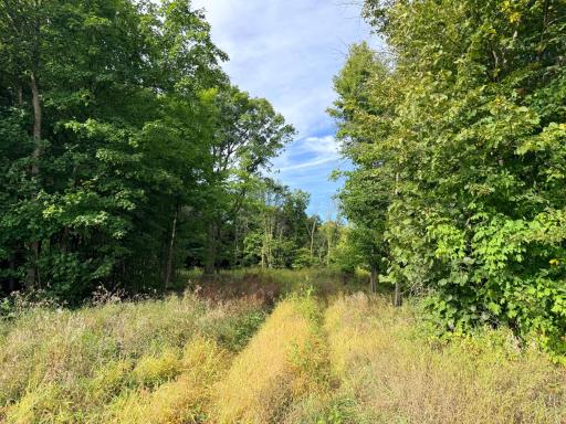 Nestled at the end of a quiet cul-de-sac, your future home site awaits!