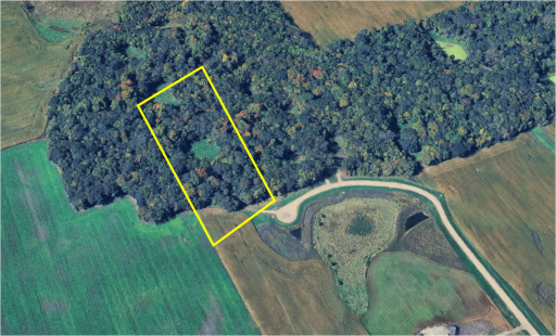 Nestled on 5.71 acres with mature trees and tranquil wetlands.