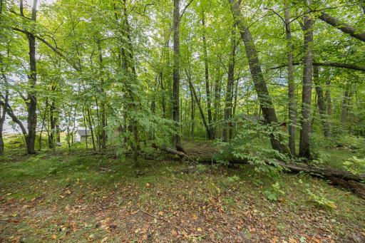 1725 Birch Lane NE, Longville, MN 56655