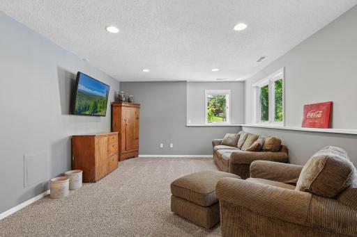 Lower level family room