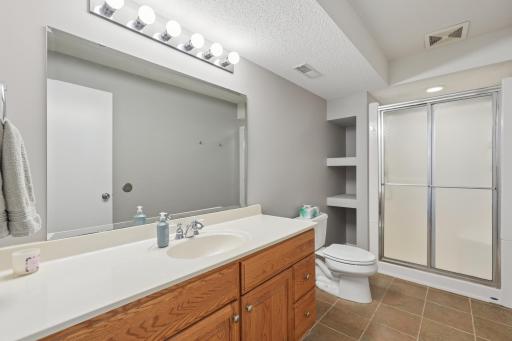 Lower level guest bathroom