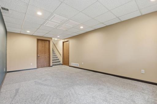 Lower Level Family Room with NEW carpet and lighting