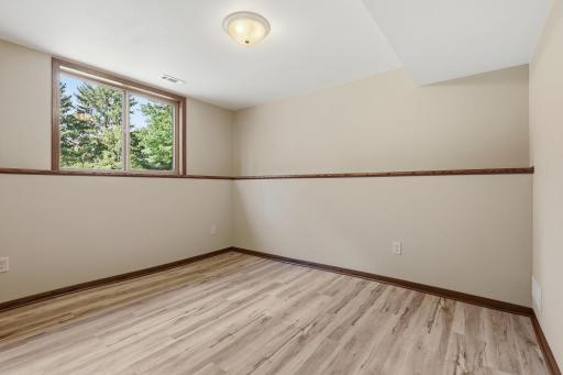 Lower level 3rd bedroom