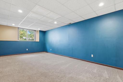 Lower Level Family Room with NEW carpet and lighting