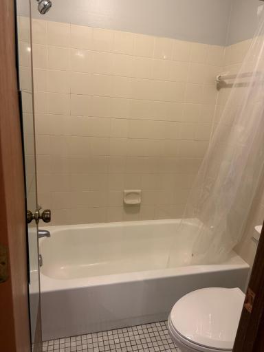 Bathtub and toilet separate from the sink