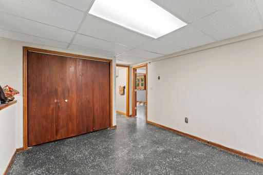 Lower Level bedroom has spacious closet space