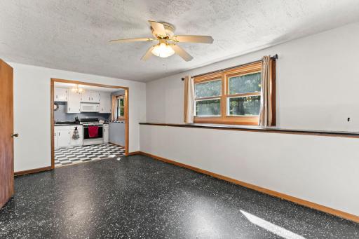 Lower level family room with second kitchenette.