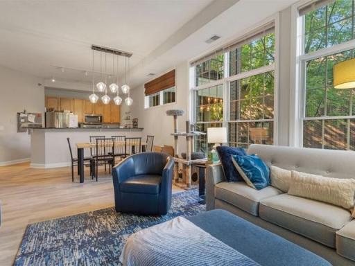 851 River Mews Court, 105, Minneapolis, MN 55414