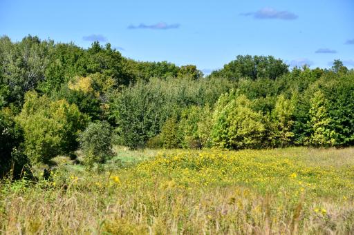 DSC_5527.JPG