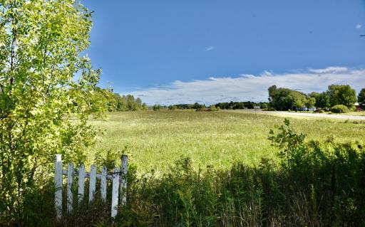 DSC_5417.JPG
