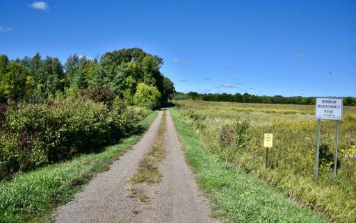 DSC_5530.JPG