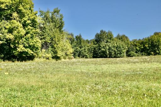 DSC_5418.JPG