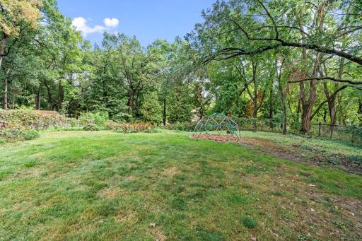 3404 Owasso St parklike backyard