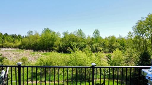 Enjoy year-round privacy and tranquil nature views from the deck overlooking mature trees and protected wetlands.