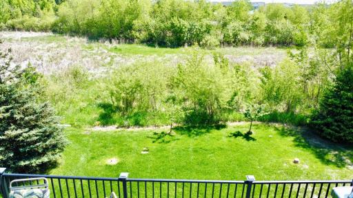 Private backyard retreat with lush green space and peaceful wetland views creating a serene natural backdrop.