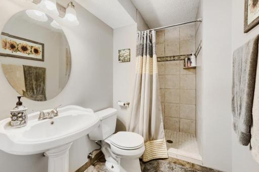 lower level bath with updated shower.jpg